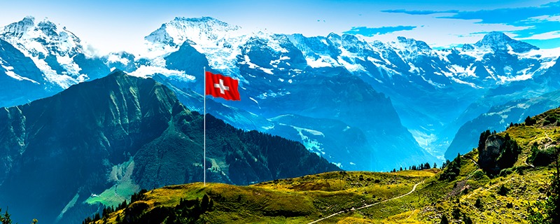 SEO und Content Marketing in der Schweiz