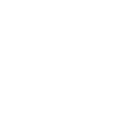 Web Design & Development